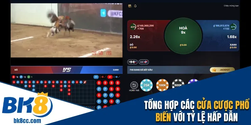 Tổng hợp các cửa cược phổ biến với tỷ lệ hấp dẫn