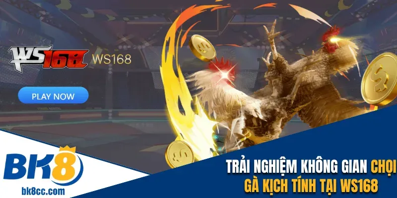 Trải nghiệm không gian chọi gà kịch tính tại WS168